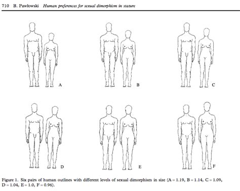 perfect height ratio for couples|The Perfect Couple Height Difference